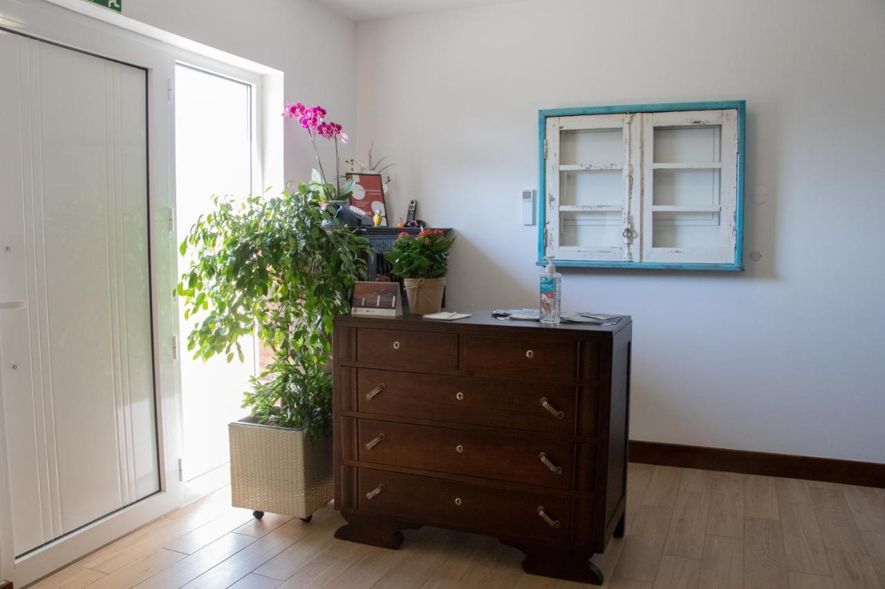Bed and Breakfast Ninho D'Arara Tondela Exteriér fotografie